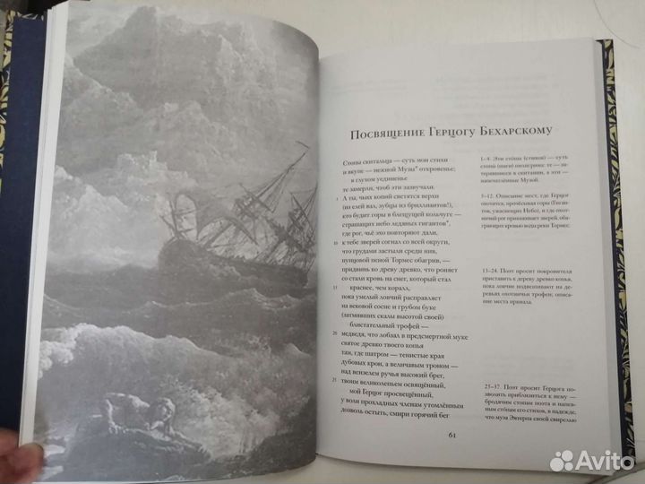 Луис де Гонгора. «Поэма Уединений»