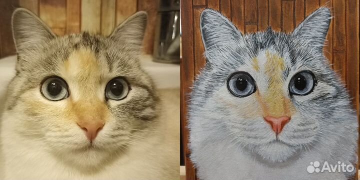 Услуги художника