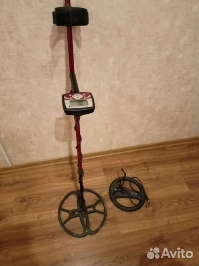 Металлоискатель минелаб terra 505