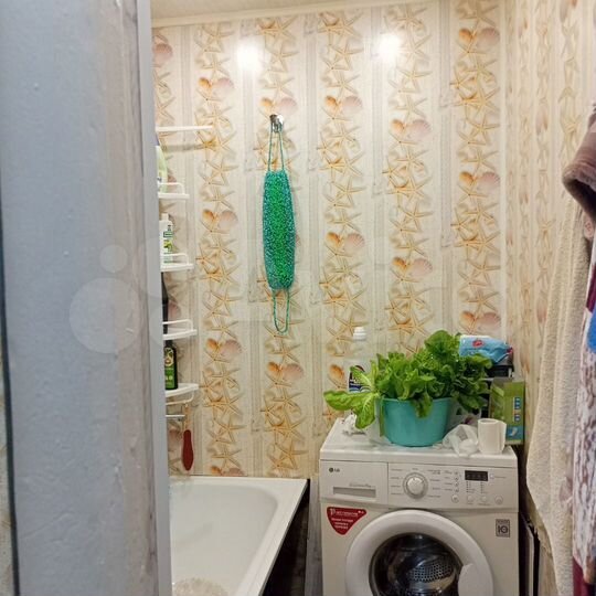 1-к. квартира, 30,8 м², 2/3 эт.