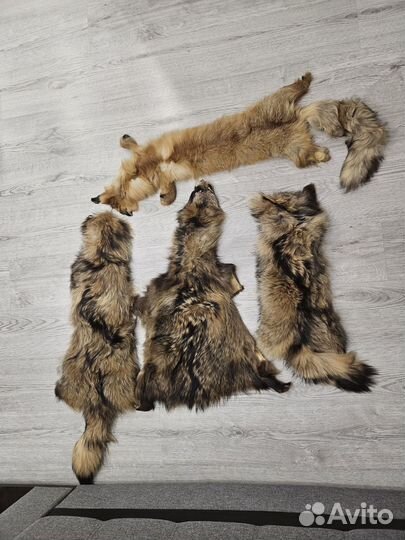 Шкура енота и лисы (мех)