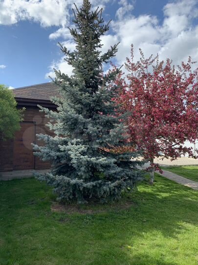 Дом 260 м² на участке 12 сот.