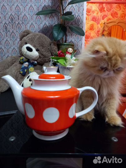 Чайники СССР 40 лет победы