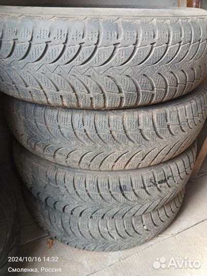 Nexen Winguard Snow G 175/70 R14 88