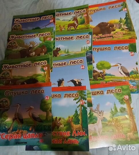 Книги. Животные леса