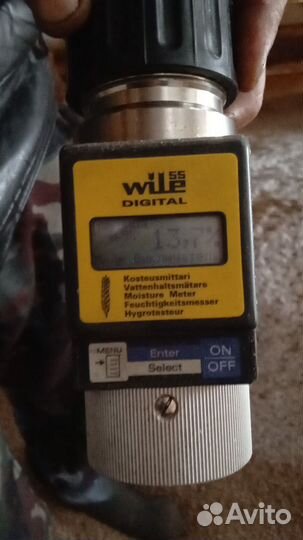 Зерно пшеница мягкая