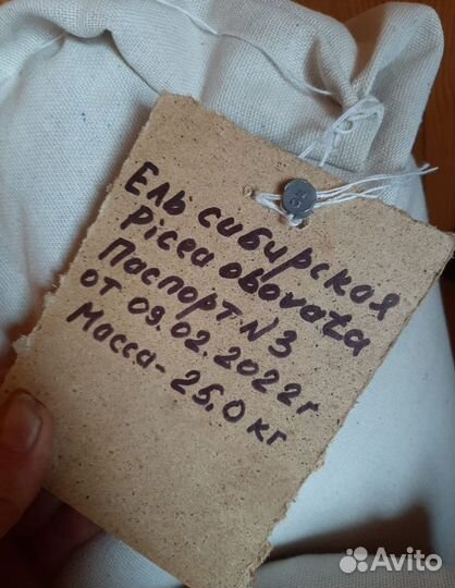 Доставка семян ели