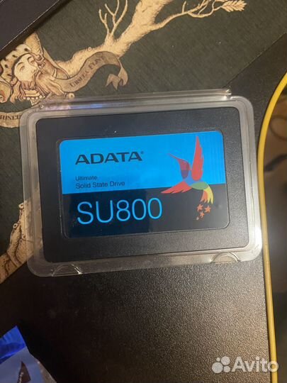 Adata su800 256