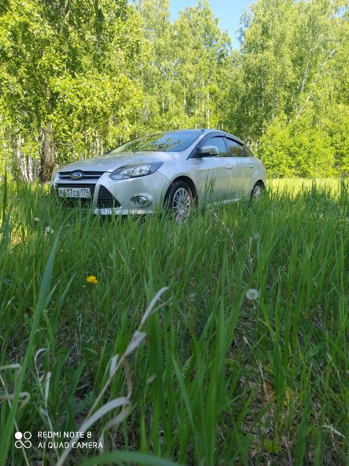 Ford Focus: фото владельца