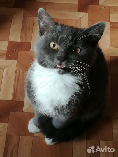 В самые добрые руки