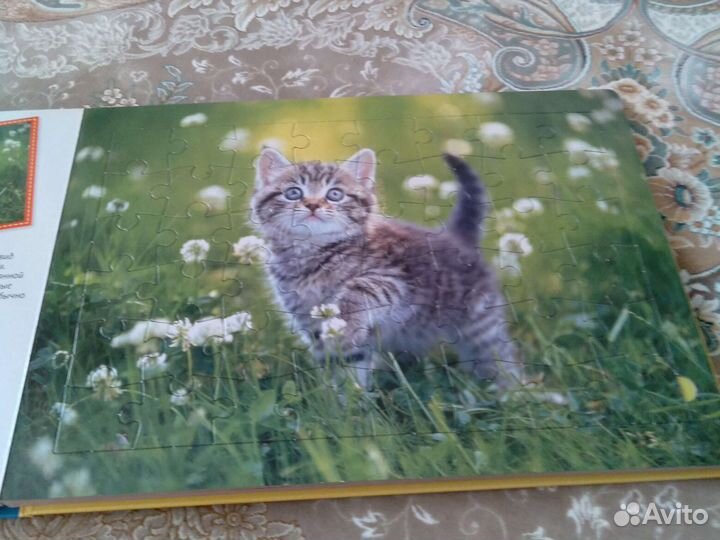 Книжка пазл 