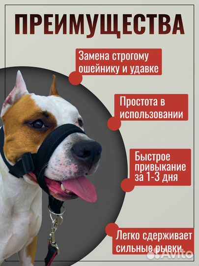 Недоуздок для собак(Новый)