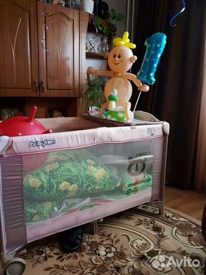 Манеж