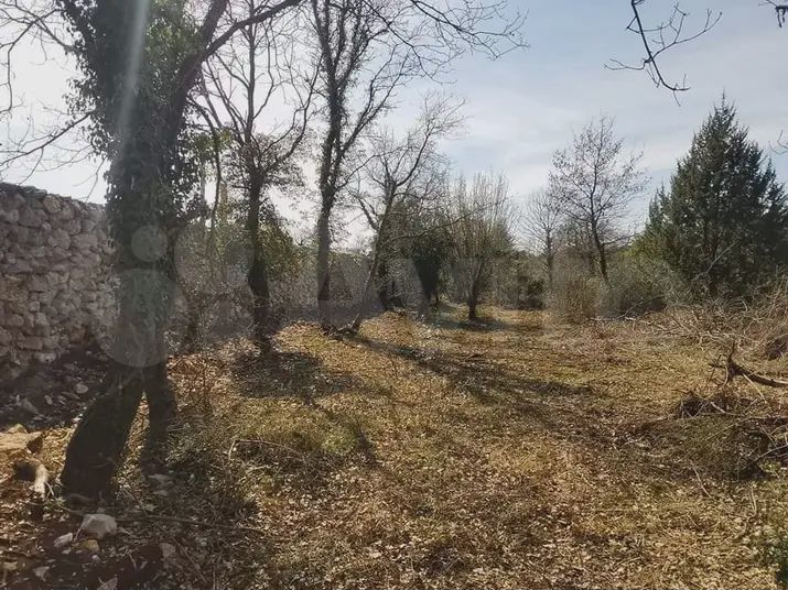 Участок 38,6 сот. (ИЖС)