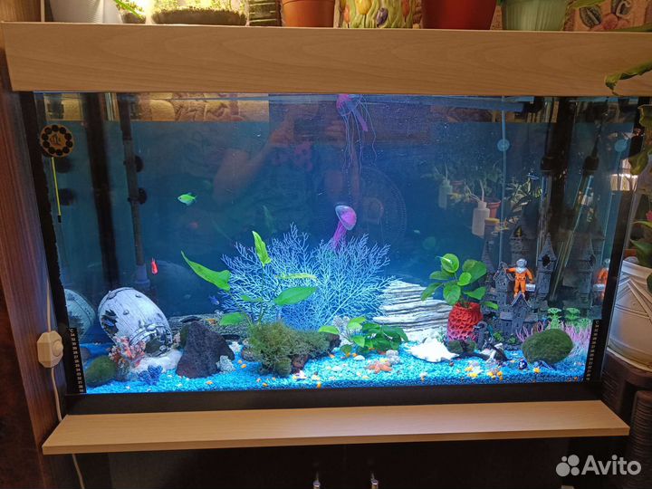 Аквариум с тумбой 200 литров и внешним фильтром