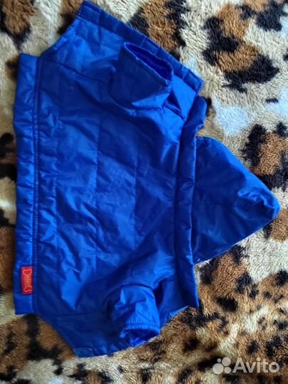 Полукомбинезон для маленькой собаки