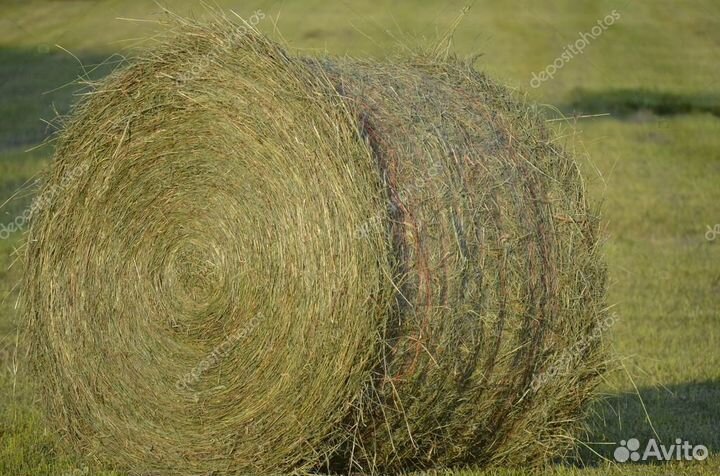 Солома- сено