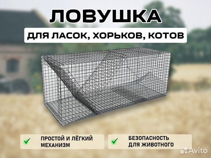 Ловушка для ласок,хорьков,котов