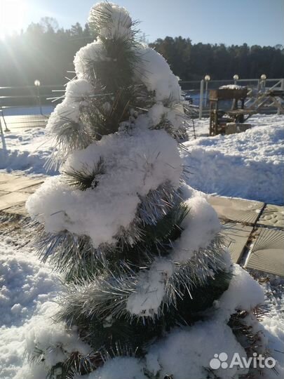 Аренда дома коттеджа и бани посуточно