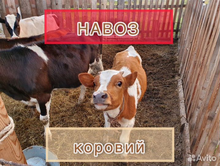 Навоз коровий в мешках