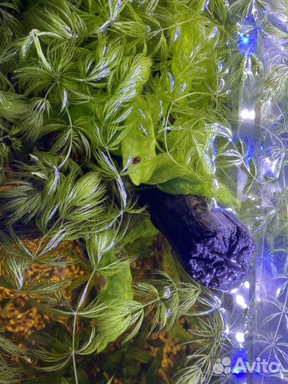 Аквариум 80 л