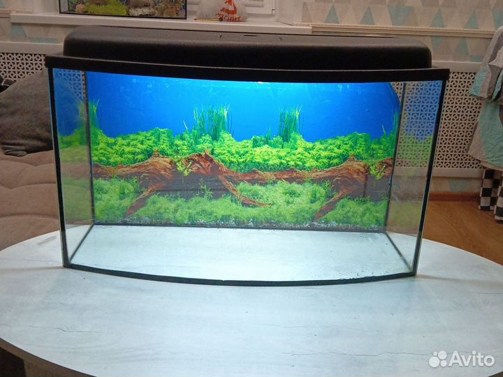 Аквариум
