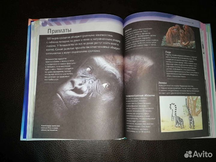 Современная детская энциклопедия новая