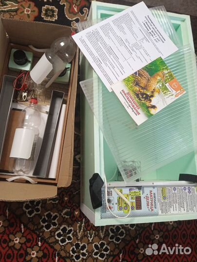 Инкубатор блиц 72