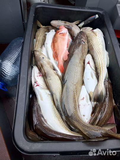 Продукты питания