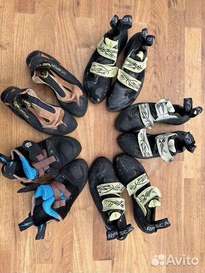 Скальные туфли scarpa la sportiva evolv