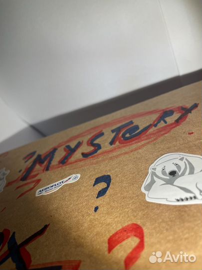 Aeroflot Mystery box