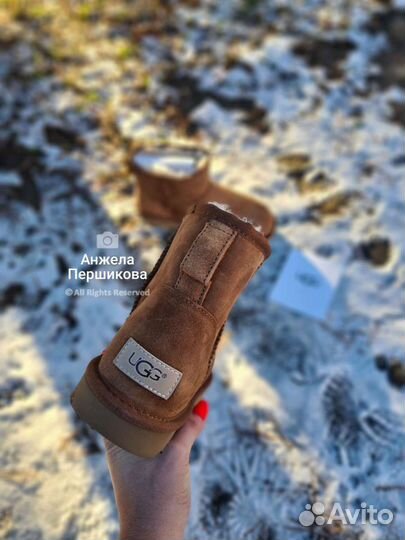 Ugg Australia Угги