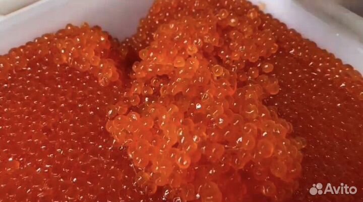 Красная икра оптом