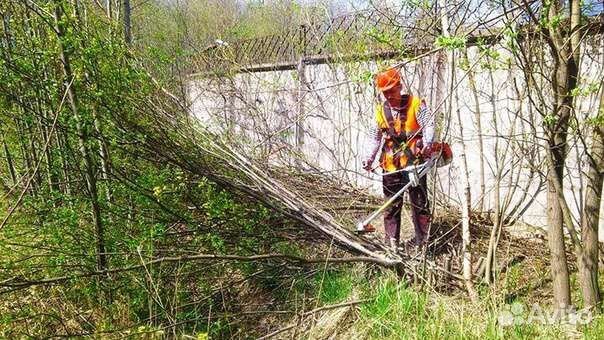 Расчистка участков
