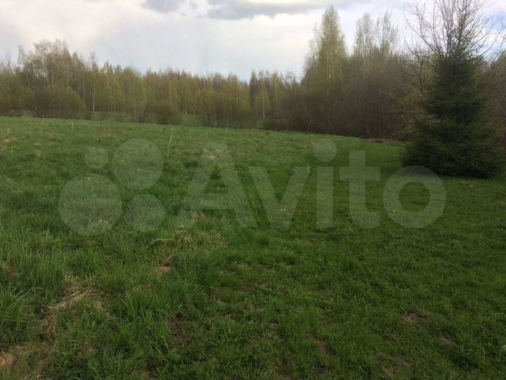 Участок 20 сот. (ИЖС)