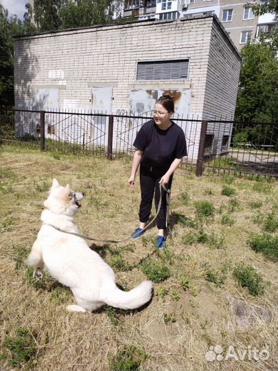 Кинолог-специалист по организации племенного дела