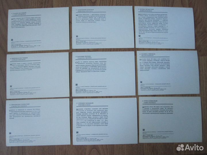 Комплект открыток(Принесите домой океан) - 1974 г