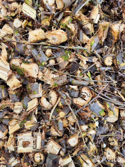 Аренда измельчителя веток садового