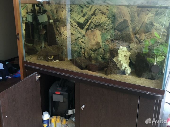 Аквариум 200 л