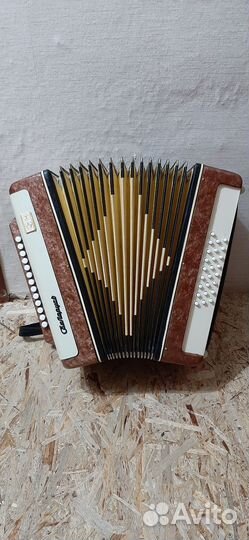 Гармонь Беларусь СССР