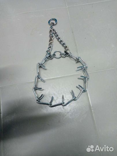 Строгий ошейник для собак