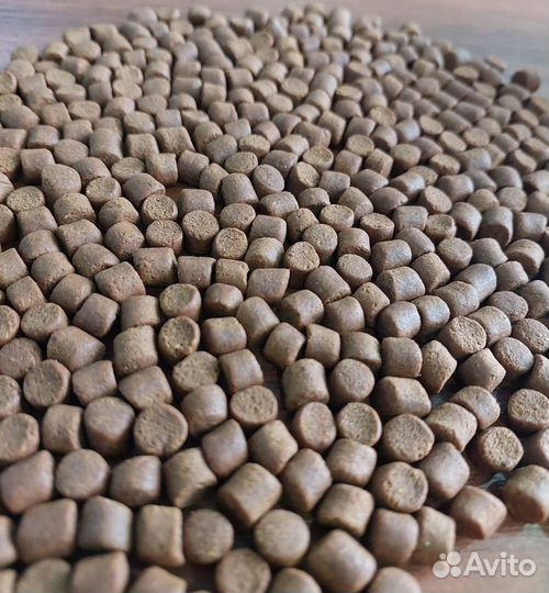 Корм для осетра