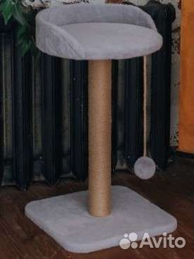 Когтеточка