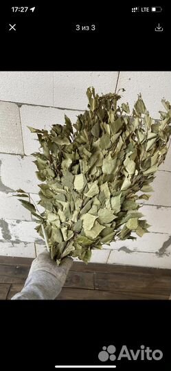 Березывый веник