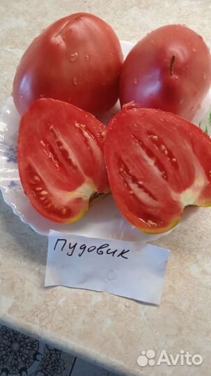 Семена коллекционных томатов
