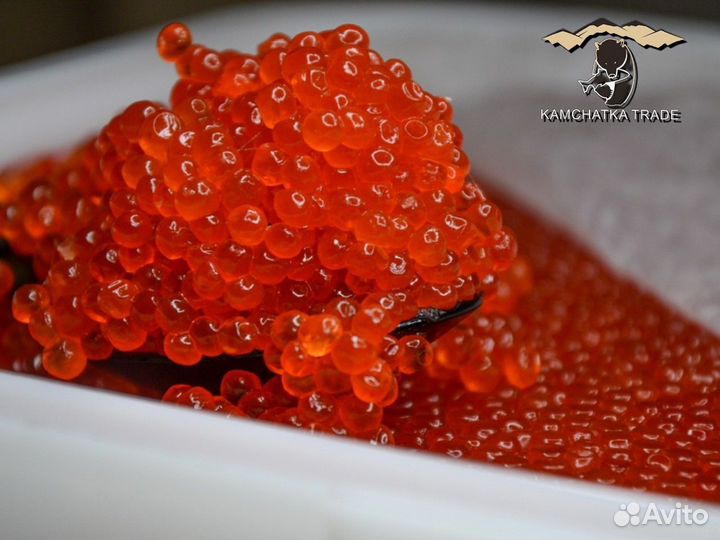 Красная икра оптом