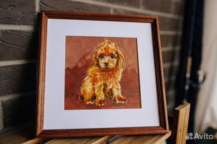 Щенок Мальтипу в добрые руки (картина, акварель)