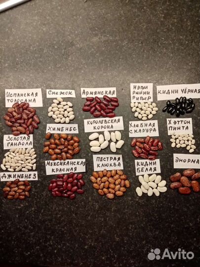 Семена фасоли на посадку