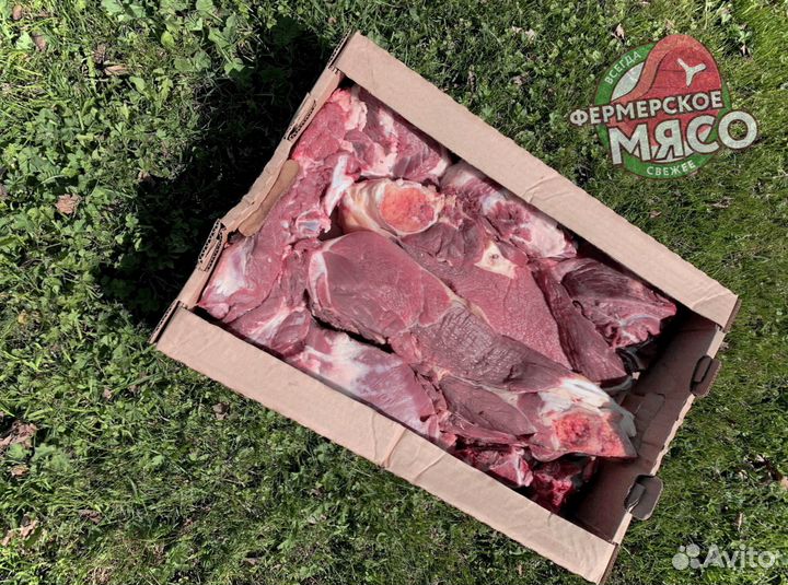 Мясо говядина