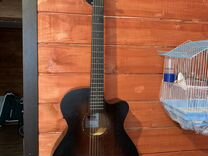 набор в музыкальную школу. уличные музыканты санкт-петербурга. римского-корсакова, санкт-петербург. петербург вакансии музыкальный. магазин синтезаторов.